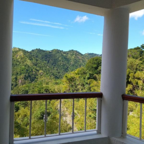 Gorgeous 1 Bedroom Apartment in the Kingston Hills